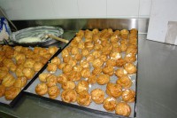 /album/galleria-fotografica/dsc00878-jpg/